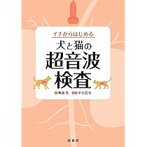 思考プロセスを習得する犬と猫のX線読影 | 坂大 智洋, 上月 遥香, 中山