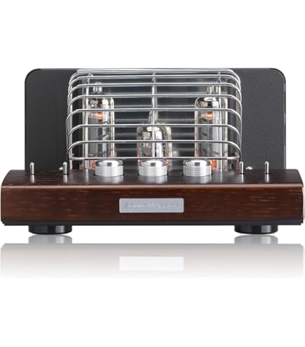 Amazon.co.jp: アーカム プリメインアンプ 英国製 DIVA-A80 : 家電＆カメラ