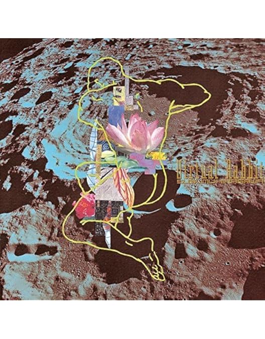 Amazon.co.jp: 核P-MODEL / LIVE回=回 [DVD] : DVD