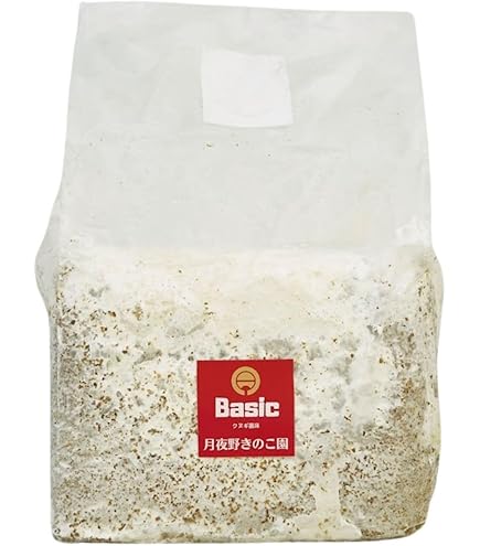 Amazon.co.jp: 【6個セット】【EXCEED CRAFT】LEVIN-G3500 3500cc