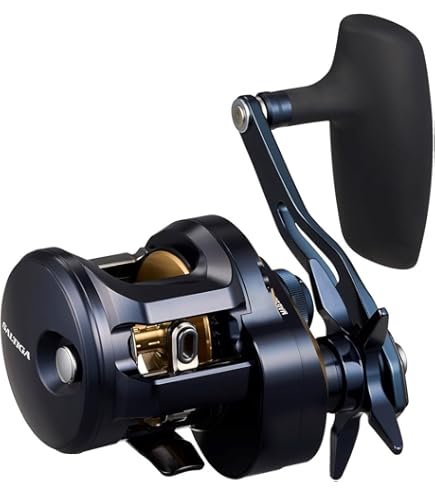 Amazon | ダイワ(DAIWA) ベイトリール リョウガ BJ C1012PE-SHL (左