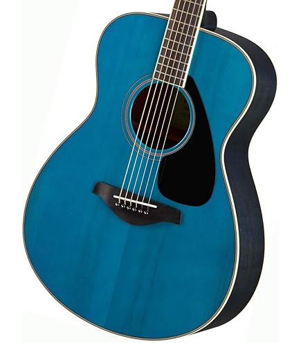 Amazon | YAMAHA アコースティックギター初心者入門 セット内容を