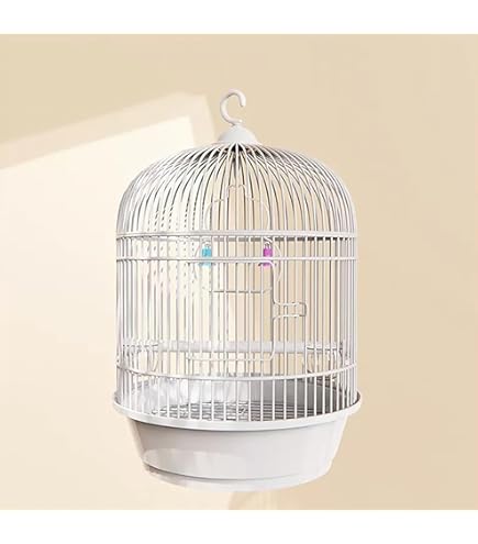 Amazon | Drvruro インテリア 鳥籠 持ち運び 鳥かご おしゃれ 鳥