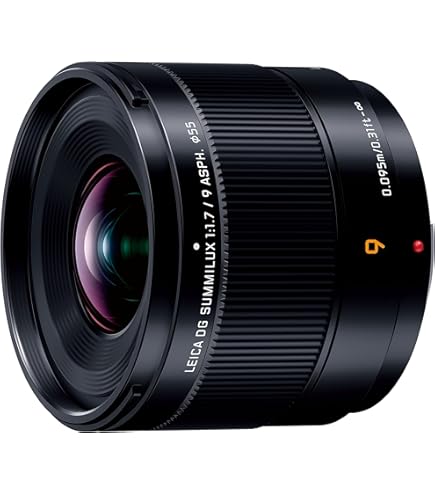 Amazon.co.jp: パナソニック 単焦点 広角パンケーキレンズ マイクロ