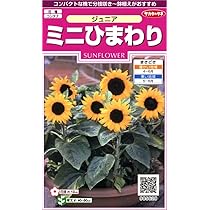 716bB89f43L._AC_UL210_SR210,