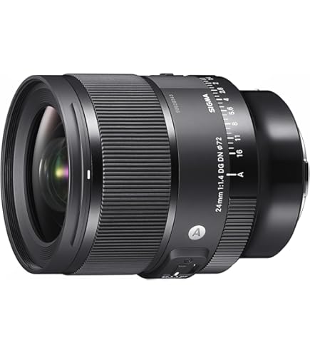Amazon.co.jp: シグマ(Sigma) レンズ 24mm F2 DG DN Lマウント 単焦点