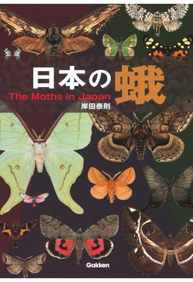 Amazon.co.jp: 日本の小蛾類 : 那須 義次, 広渡 俊哉, 坂巻 祥孝, 岸田