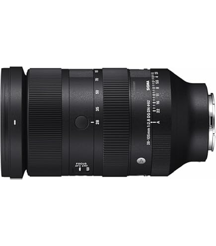 Amazon.co.jp: Art 35mm F1.4 DG HSM ソニー用 フルサイズ対応 : 家電