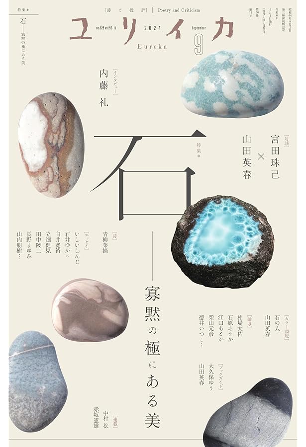 Amazon.co.jp: 内藤礼|1985-2015 祝福 : 内藤礼: 本