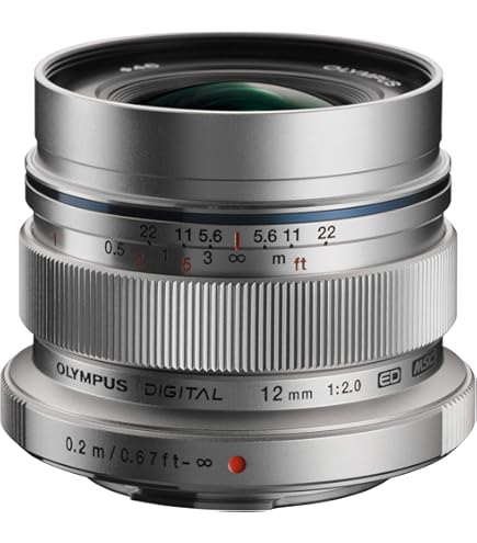 Amazon.co.jp: 【国内正規品】 LAOWA 単焦点 広角レンズ 7.5㎜ F/2 MFT