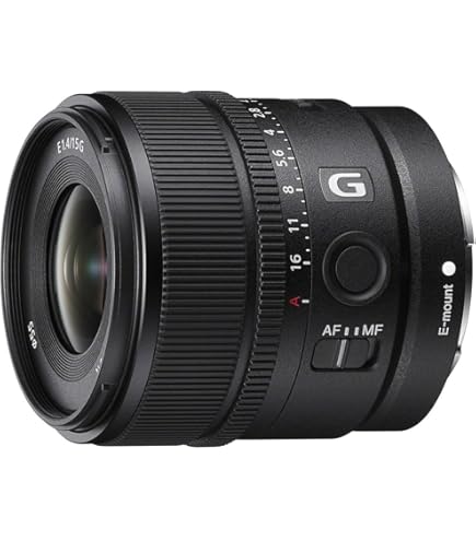 Amazon.co.jp: Sony SEL16F28 16mm f/2.8 広角レンズ NEXシリーズ