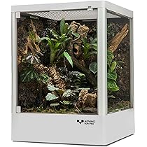 71FD+k0bCyL._AC_UL210_SR210,