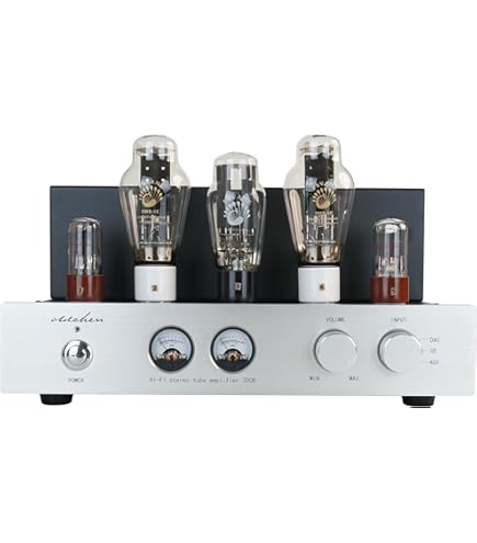 Amazon.co.jp: BoyuuRange REISONG A50 MKIII 300B HiFi 統合チューブ