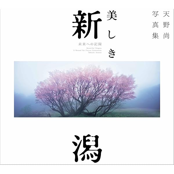 Amazon.co.jp: 水-自然への回帰: 天野尚作品集 : 天野 尚: 本