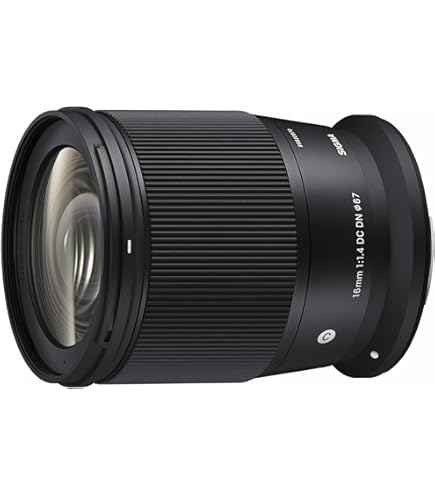 Amazon.co.jp: キヤノン RF16mm F2.8 STM : 家電＆カメラ