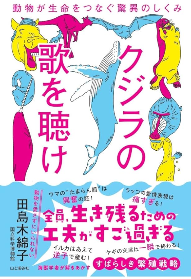 Amazon.co.jp: 海棲哺乳類大全: 彼らの体と生き方に迫る : 田島 木綿子