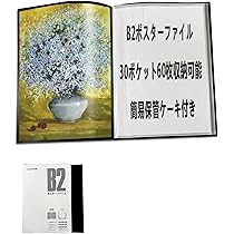 Amazon.co.jp: LUCKYSHIN B2 ポスターファイル 60枚収納 30ポケット