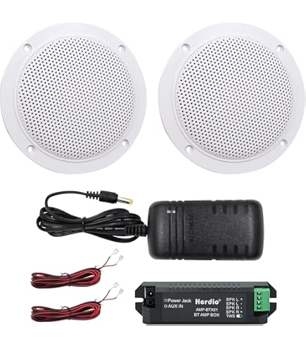 Amazon.co.jp: オースミ電機 MASSIVE 天井スピーカー OE-233Ⅱ(B