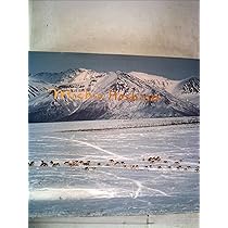 71aRhyeOxTL._AC_UL210_SR210,