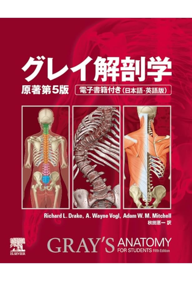 解剖実習カラーテキスト | 坂井 建雄 |本 | 通販 | Amazon