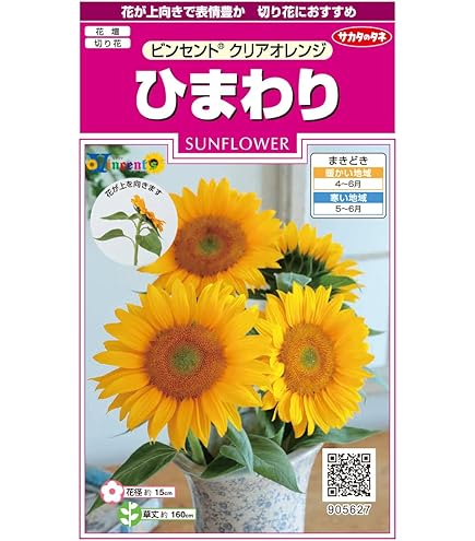 Amazon | サカタのタネ 実咲花5629 ミニひまわり ジュニア 00905629