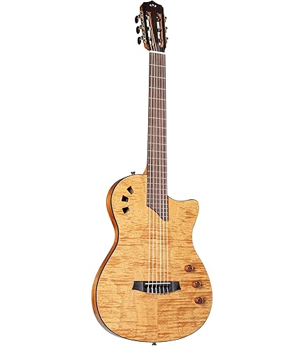 Amazon | GODIN (ゴダン) ナイロンギター エレガットギター Multiac