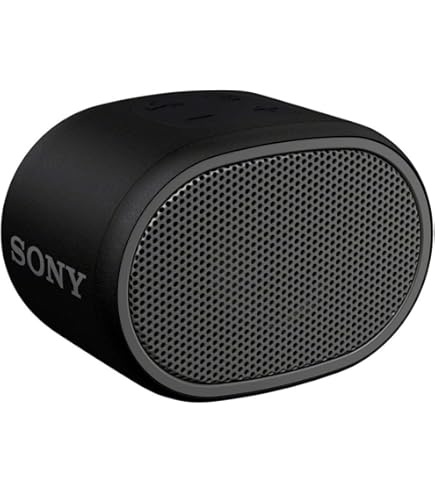 Amazon.co.jp: ソニー ポータブルドックスピーカー RDP-NWT19