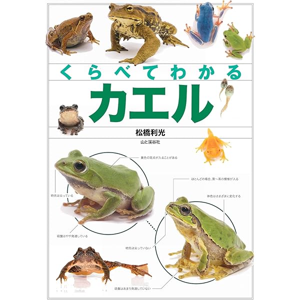 日本産カエル大鑑 | 松井 正文, 前田 憲男 |本 | 通販 | Amazon