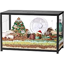 71kRel+ZeVL._AC_UL210_SR210,