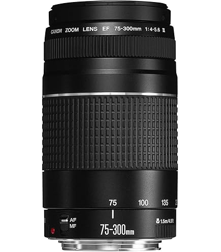 Amazon.co.jp: Canon RF75-300mm F4-5.6。 : 家電＆カメラ
