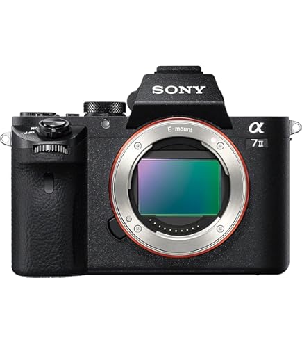 Amazon | SONY ミラーレス一眼カメラ α NEX-7 ズームレンズキット