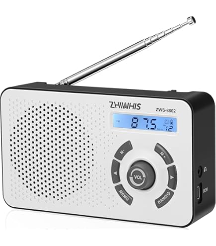 Amazon.co.jp: SONY ポータブルラジオレコーダー 4GB R50 ICZ-R50