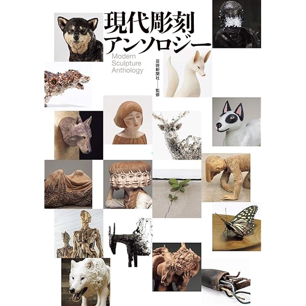 Amazon.co.jp: 近代日本彫刻史 : 田中修二: Japanese Books