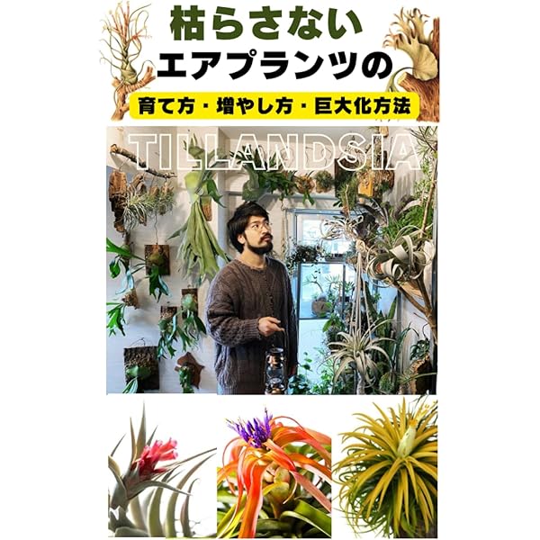 エアプランツLife | スゥルギ, 齊藤 太一, 藤川 史雄 |本 | 通販 | Amazon