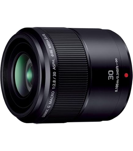 Amazon | パナソニック(Panasonic) Panasonic マイクロフォーサーズ用