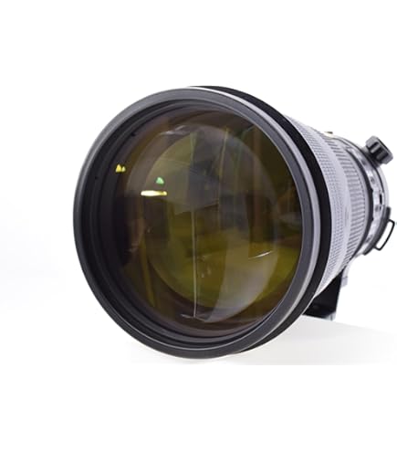 Amazon.co.jp: Nikon 単焦点レンズ Ai AF-S Nikkor 300mm f/4D IF-ED