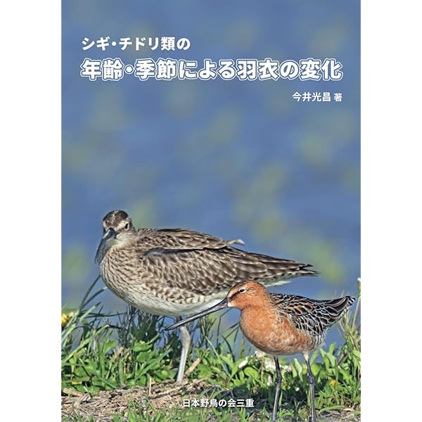 図鑑日本のワシタカ類 | 森岡 照明 |本 | 通販 | Amazon