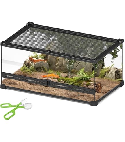 Amazon | GEX EXOTERRA フトアゴヒゲトカゲ&リクガメ飼育キットBK