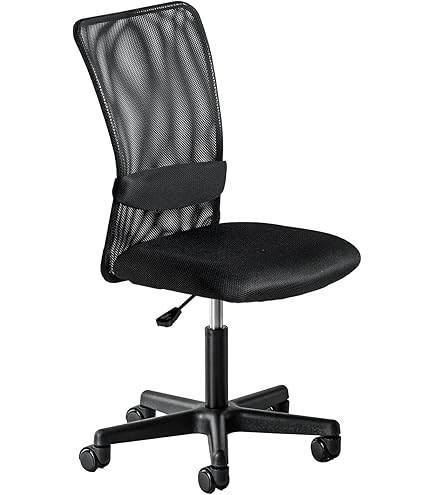 Amazon.co.jp: Salliチェアー[Salli Sway] ミドルタイプ（ブラック