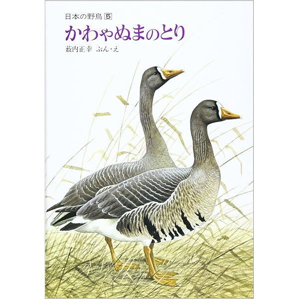 ペーパーバック版 薮内正幸 日本の野鳥セット 全6冊 (福音館の科学