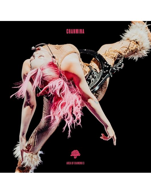 Amazon.co.jp: THE PRINCESS PROJECT (Blu-ray) : ちゃんみな: DVD