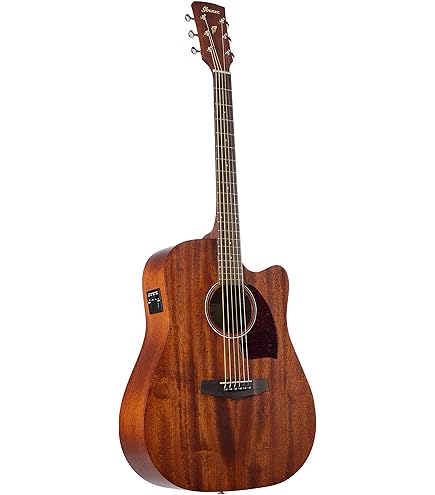 Amazon.co.jp: Takamine PTU441 N エレアコギター 400シリーズ