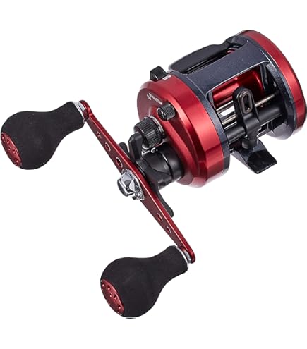 Amazon | ダイワ(DAIWA) ベイトリール リョウガ BJ C1012PE-SHL (左