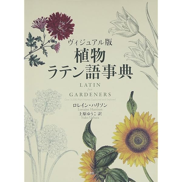 植物学ラテン語辞典 | 豊国 秀夫 |本 | 通販 | Amazon