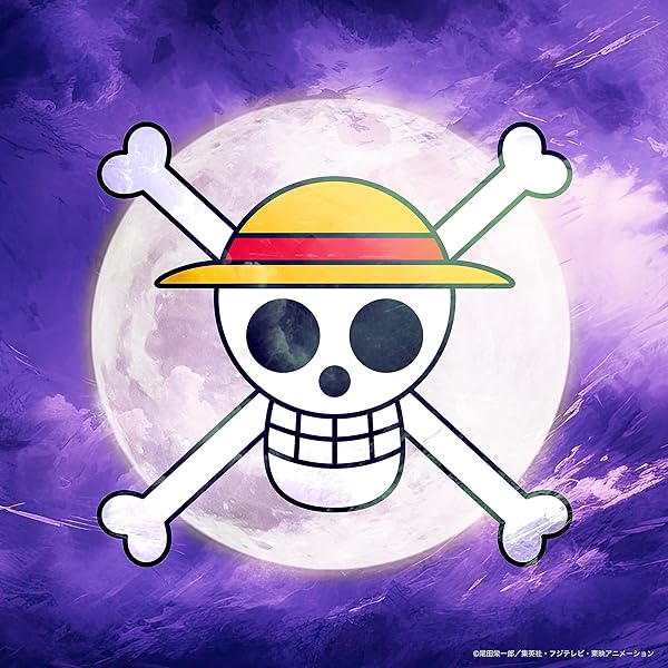 Amazon.co.jp: ONE PIECE MUSIC MATERIAL 初回限定豪華版: ミュージック