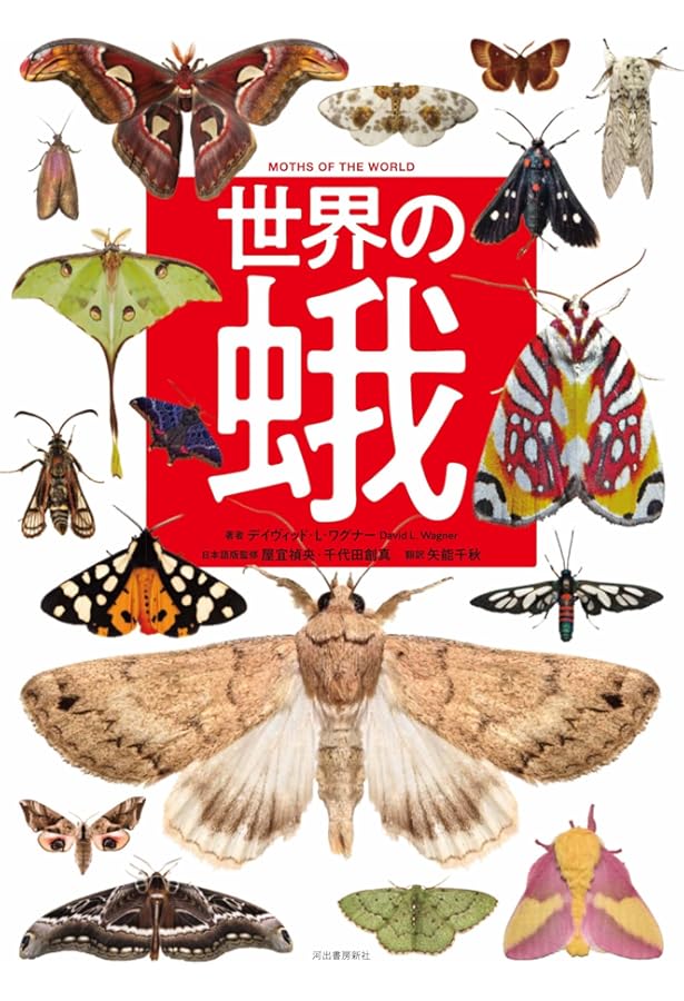 Amazon.co.jp: 日本の小蛾類 : 那須 義次, 広渡 俊哉, 坂巻 祥孝, 岸田