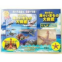 飛び出す!海のいきもの大図鑑 ジンベエザメ&ウミガメフィギュア付き