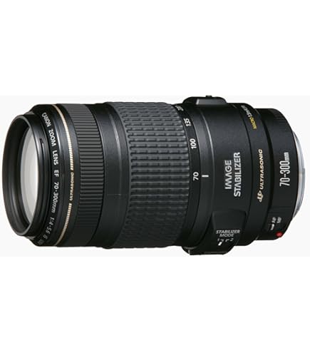 Amazon.co.jp: Canon EF 100-300mm f/4.5-5.6 USM 望遠ズームレンズ