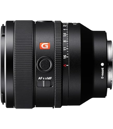 Amazon.co.jp: SIGMA 単焦点標準レンズ 50mm F1.4 EX DG HSM ソニー用