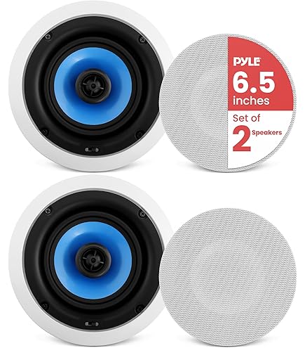 Amazon.co.jp: オースミ電機 （ MASSIVE ） 天井埋め込み型スピーカー